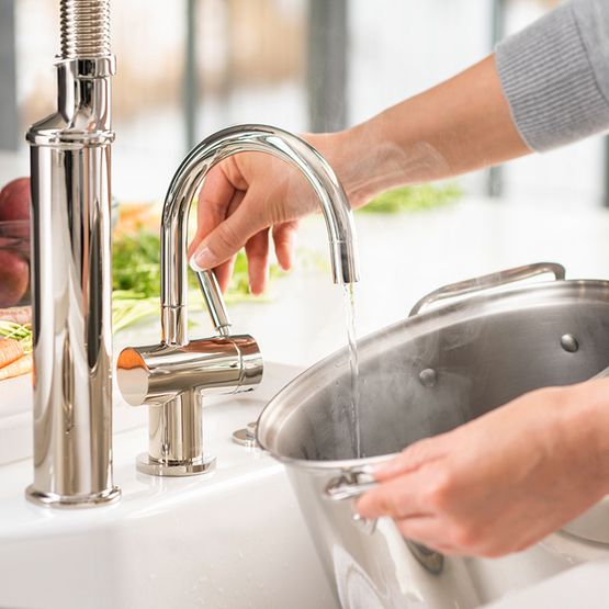 InSinkErator Indulge FH3300 Instant Hot Water Dispenser Faucet in Satin Nickel - 44240D