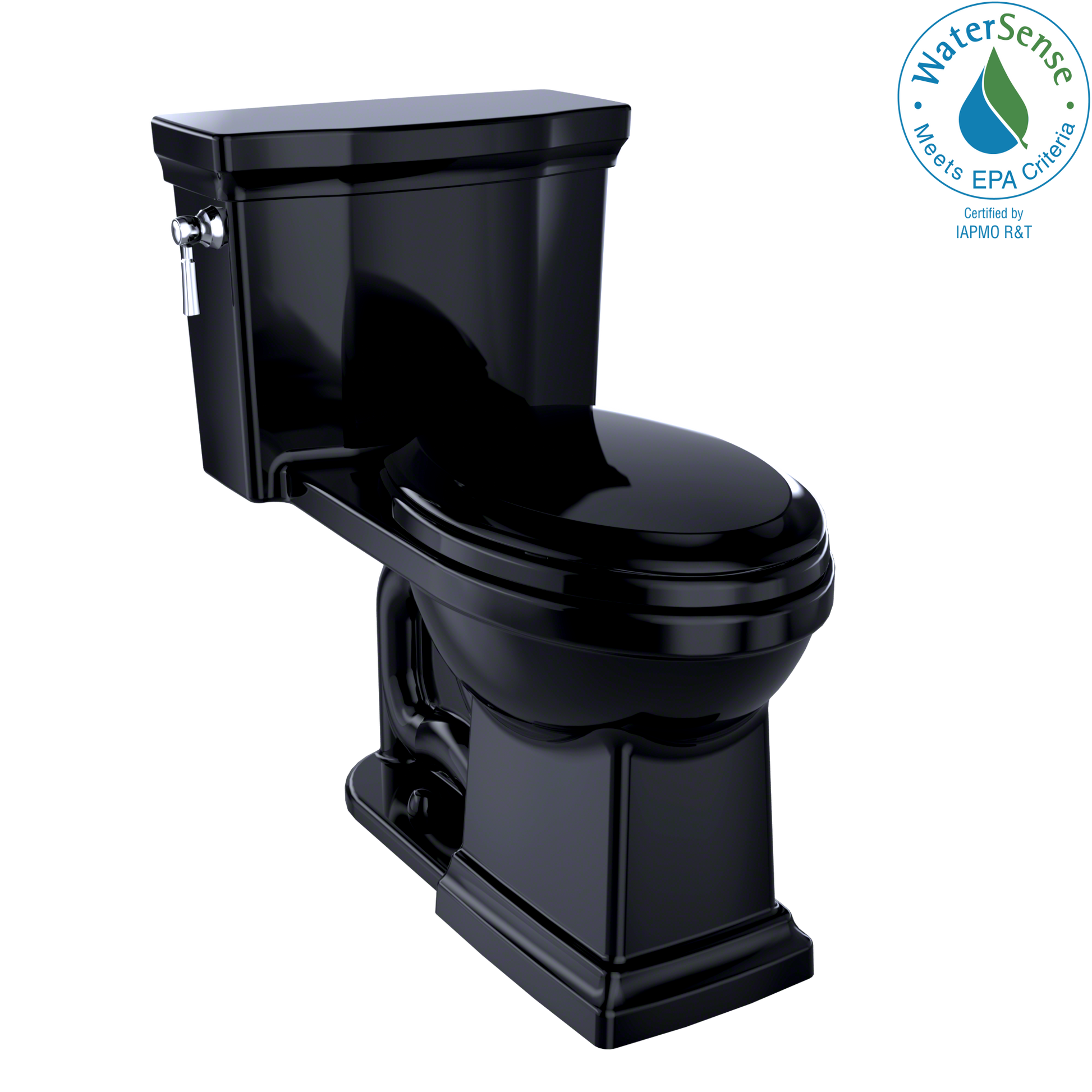Black elongated one-piece toilet with soft-close seat and matching tank, shown from angled side view.