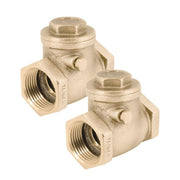 Two brass swing check valves with threaded inlet ports and capped outlets.