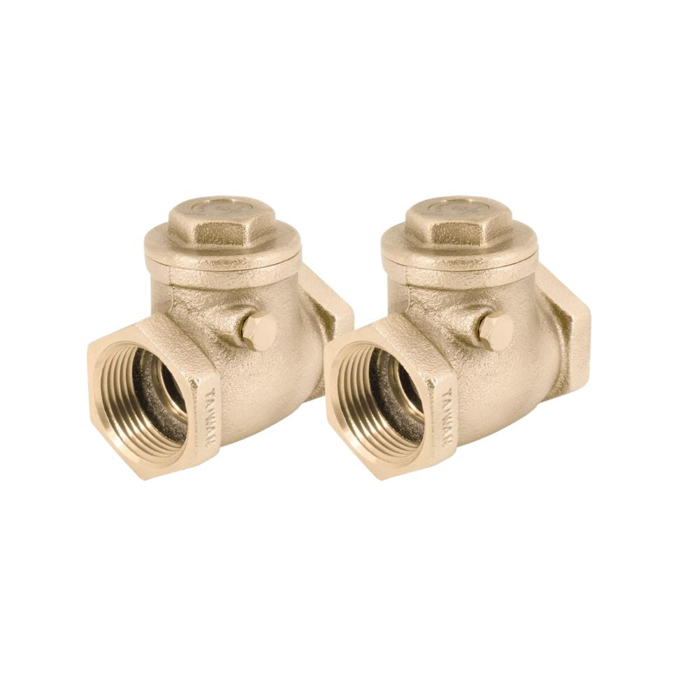 Two brass swing check valves with 1 inch female threaded ports and hex-head caps.
