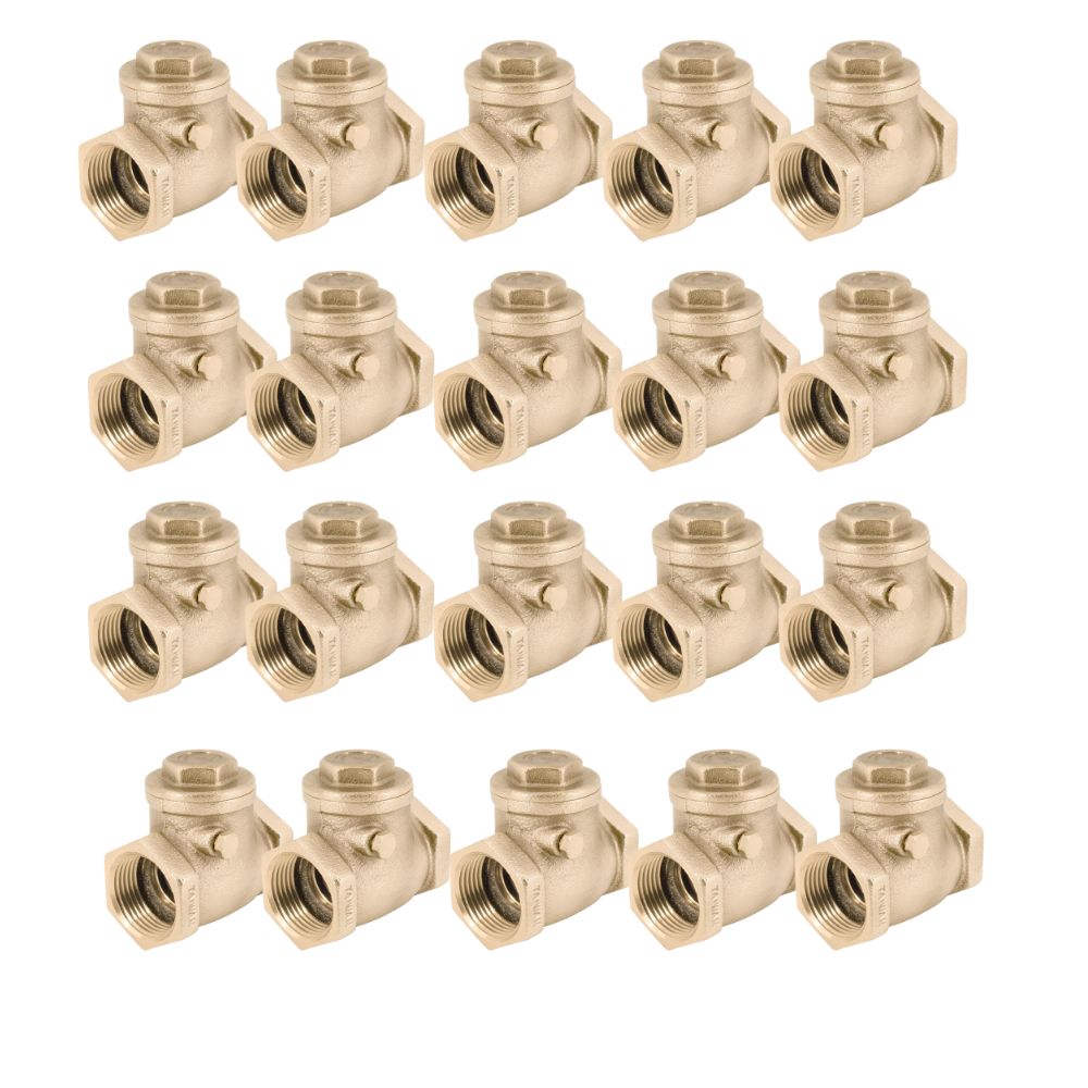 Twenty brass swing check valves with female threaded ports arranged in four rows.
