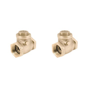 Two brass swing check valves with female threaded ports and hexagonal caps on top.