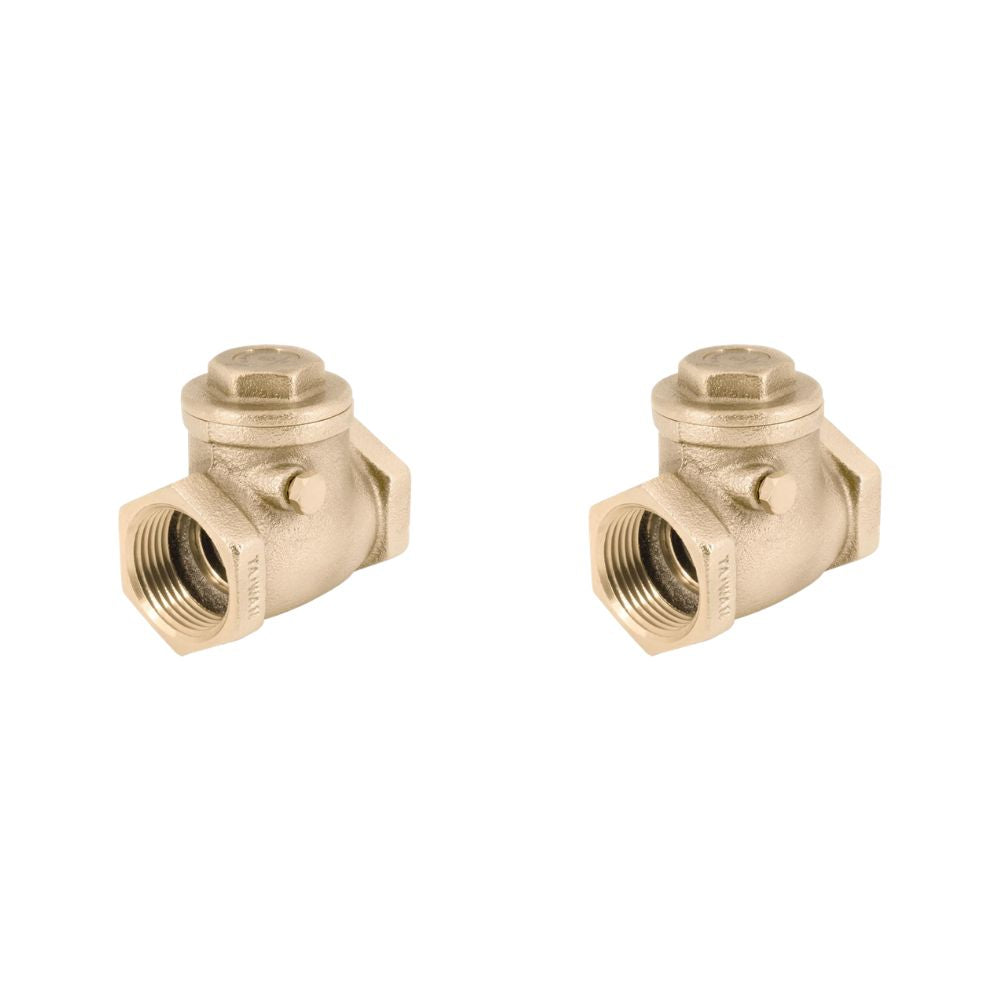 Two brass swing check valves with female threaded ports and hexagonal caps on top.