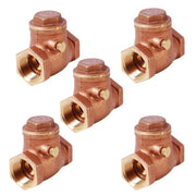 Five brass swing check valves with 3/4 inch female threaded ports and hexagonal caps.