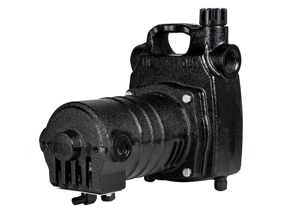 Black cast iron self-priming transfer pump with motor, threaded inlet and outlet ports, and carry handle.