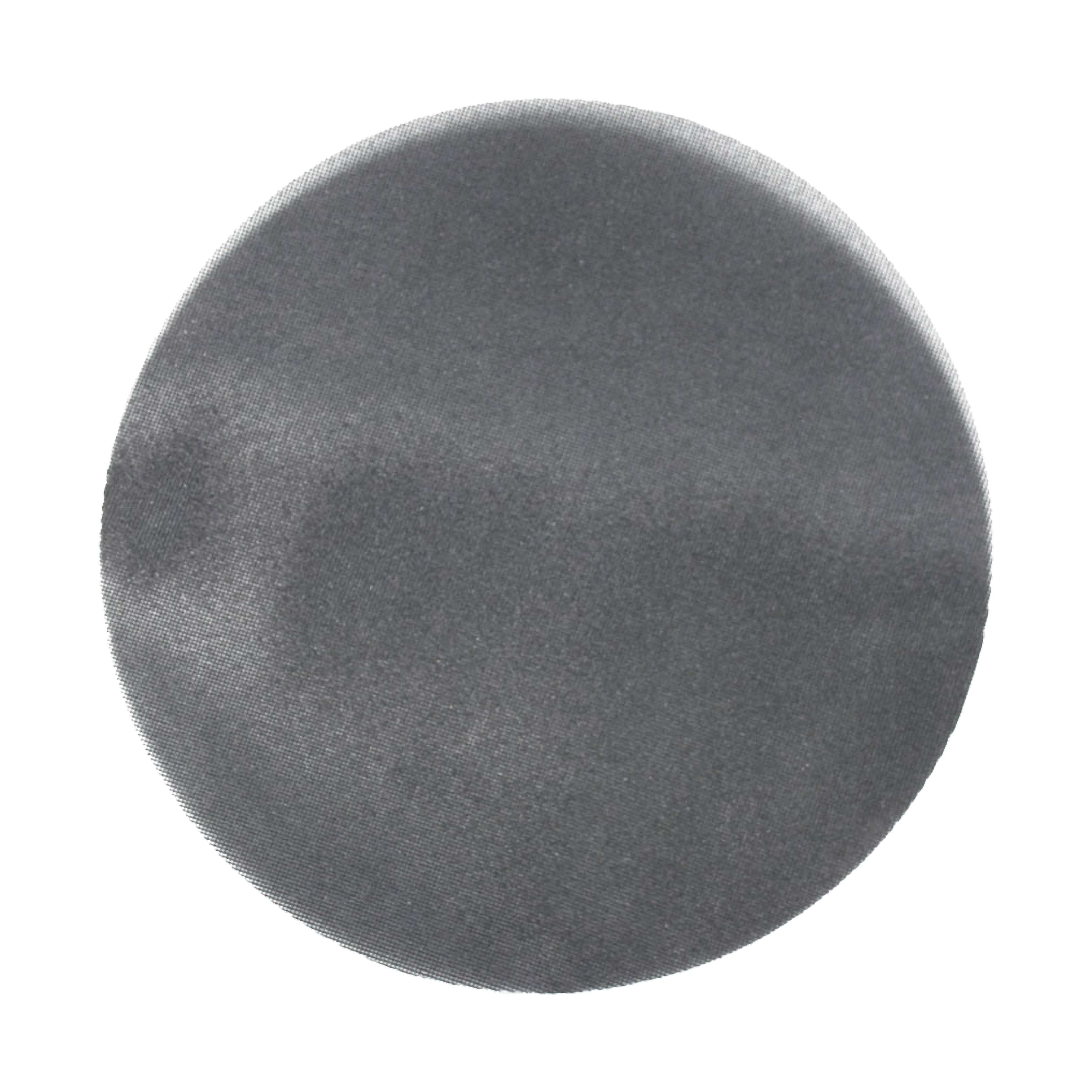 AvantiPRO PCE170100E01G 17 in. 100-Grit Sanding Screen
