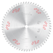 Silver circular saw blade with carbide-tipped teeth around the edge and red markings, 10 inches in diameter.