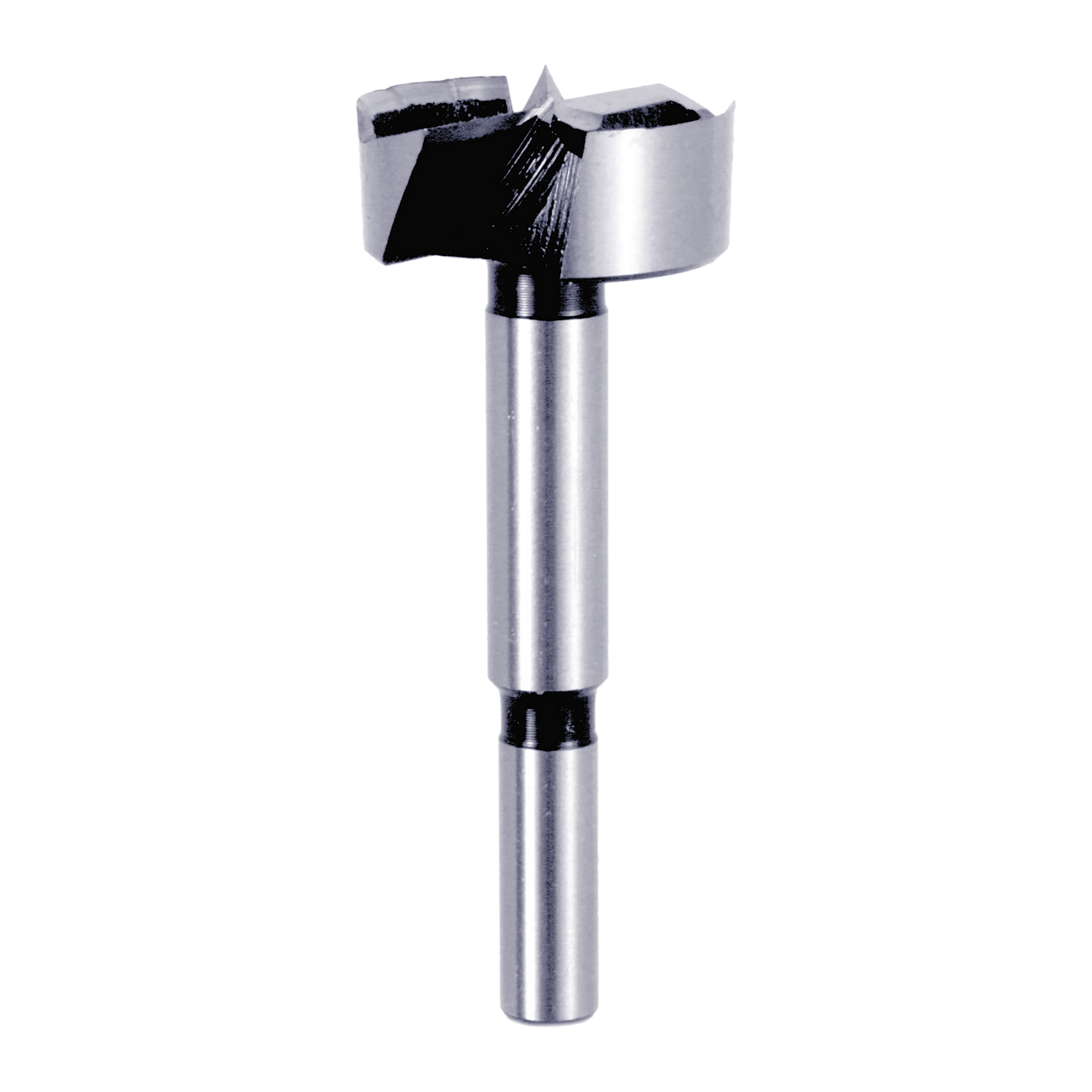 Silver Forstner bit with cylindrical shank and flat cutting head with black flutes.