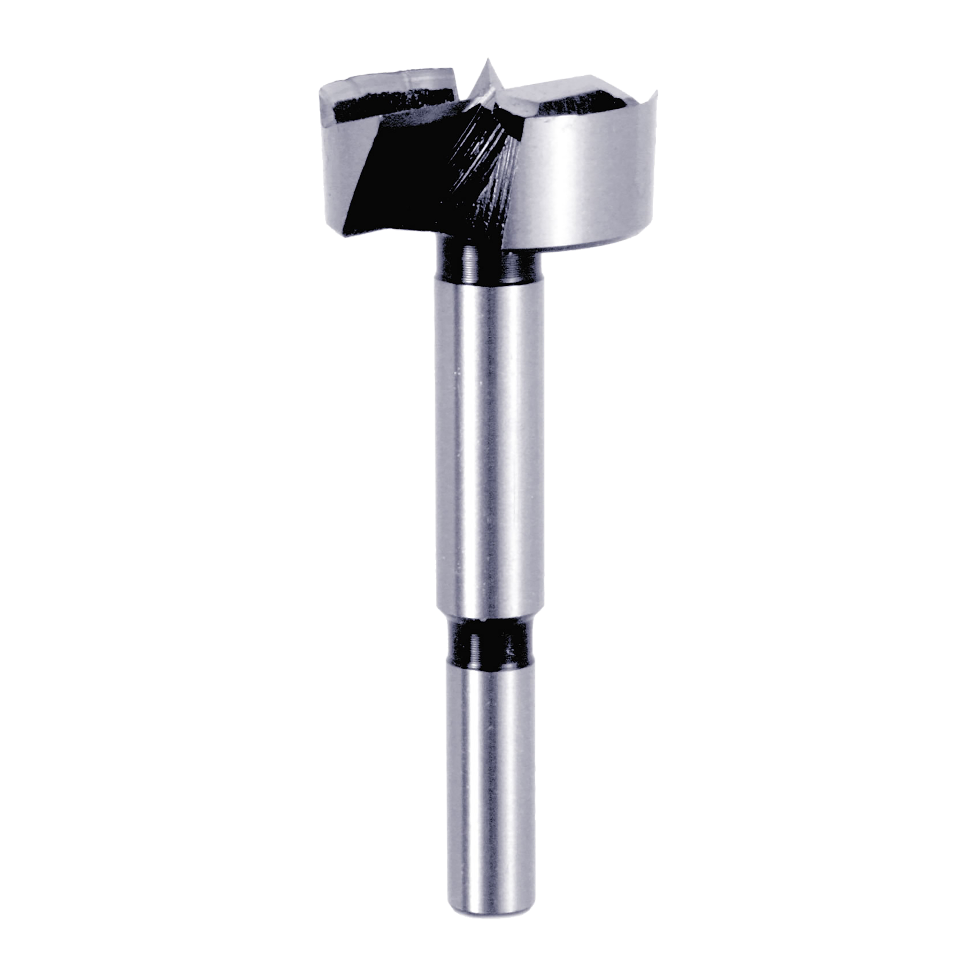 Silver Forstner bit with cylindrical shank and flat cutting head with black flutes.
