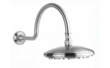 Stainless steel shower head with curved gooseneck arm and circular face featuring water spray holes.