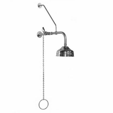 Chrome wall-mounted shower fixture with pull chain, curved arm, and dome showerhead.