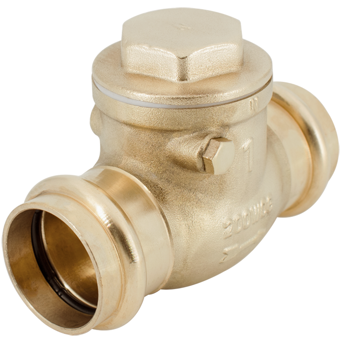 Brass check valve with 2-inch push-connect ports and hexagonal cap on top.