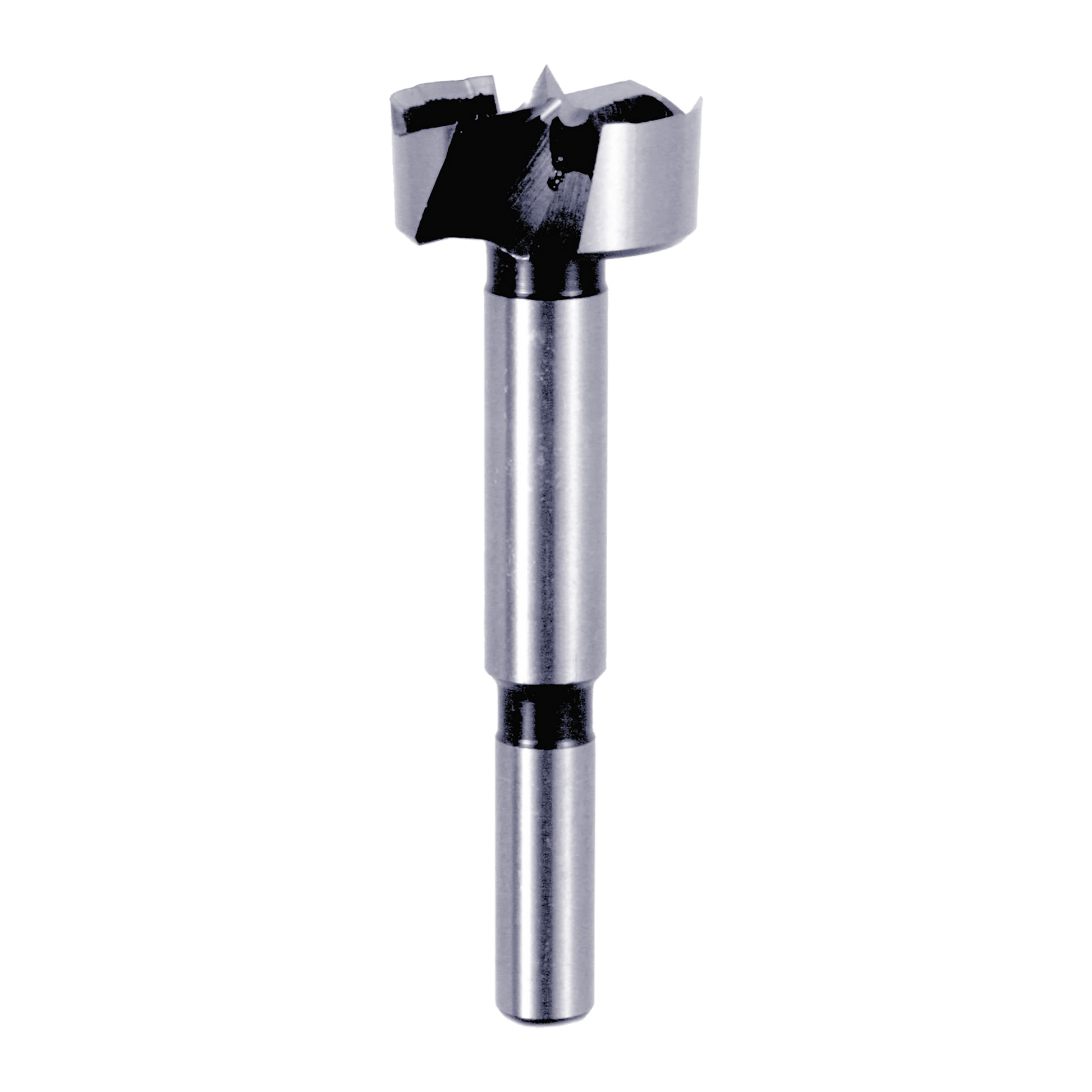Silver and black Forstner bit with cylindrical shaft and flat cutting head with four spurs.