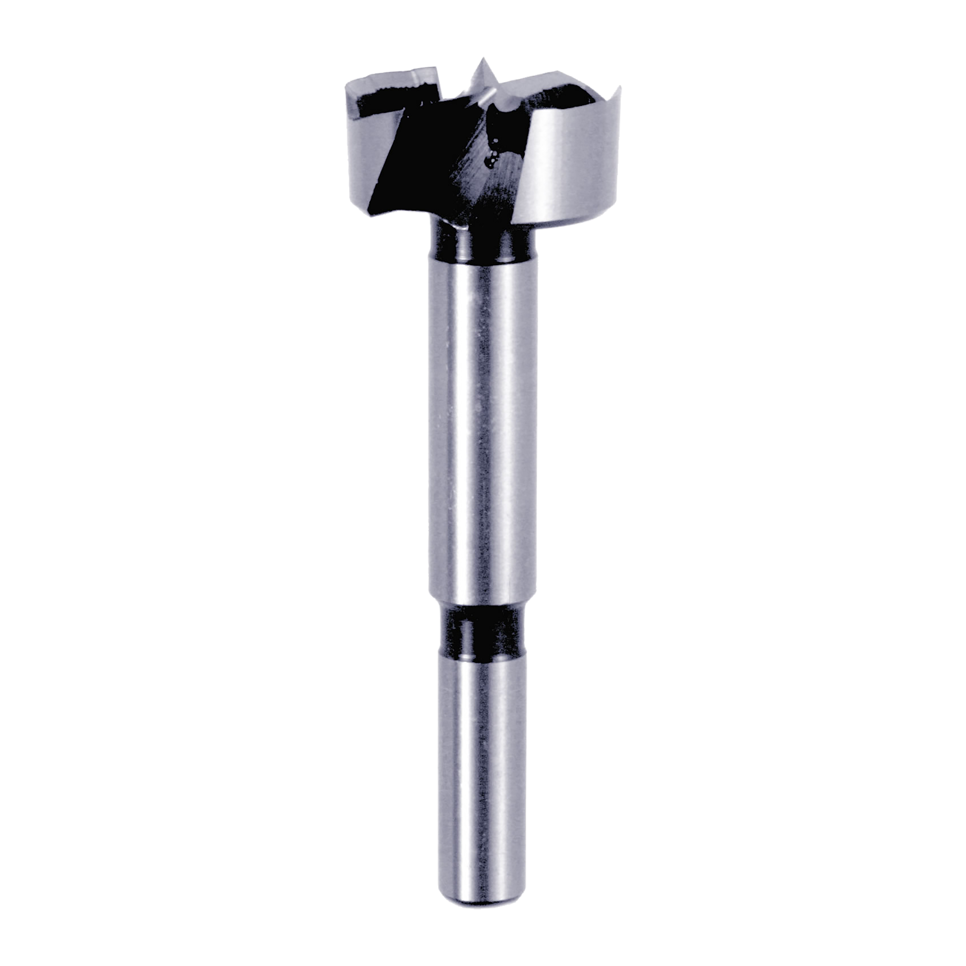 Silver and black Forstner bit with cylindrical shaft and flat cutting head with four spurs.