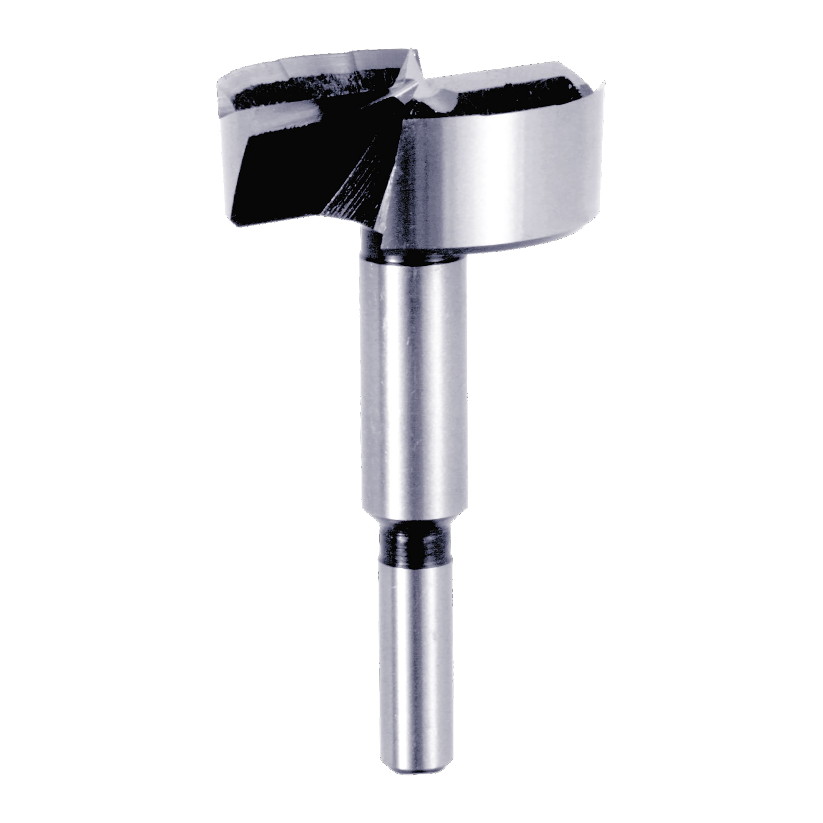 Silver Forstner bit with cylindrical shank and flat cutting head with black cutting edges.
