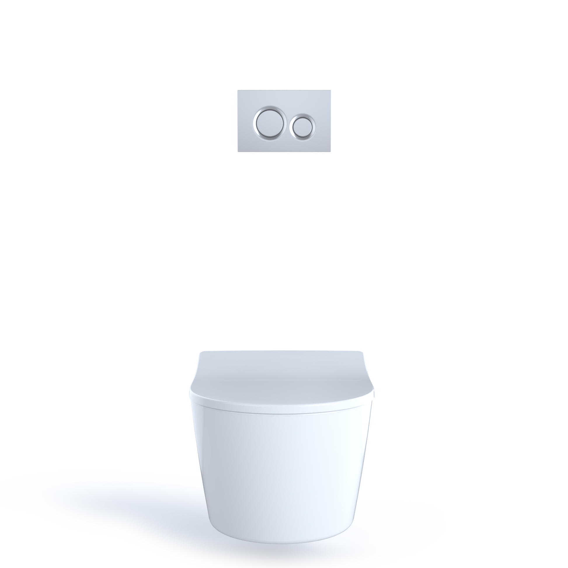 White wall-hung toilet with D-shaped bowl and matte silver dual-flush plate above.