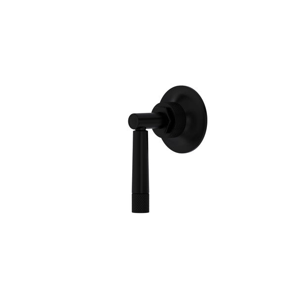 Matte black volume control and diverter trim with cylindrical handle and circular escutcheon plate.