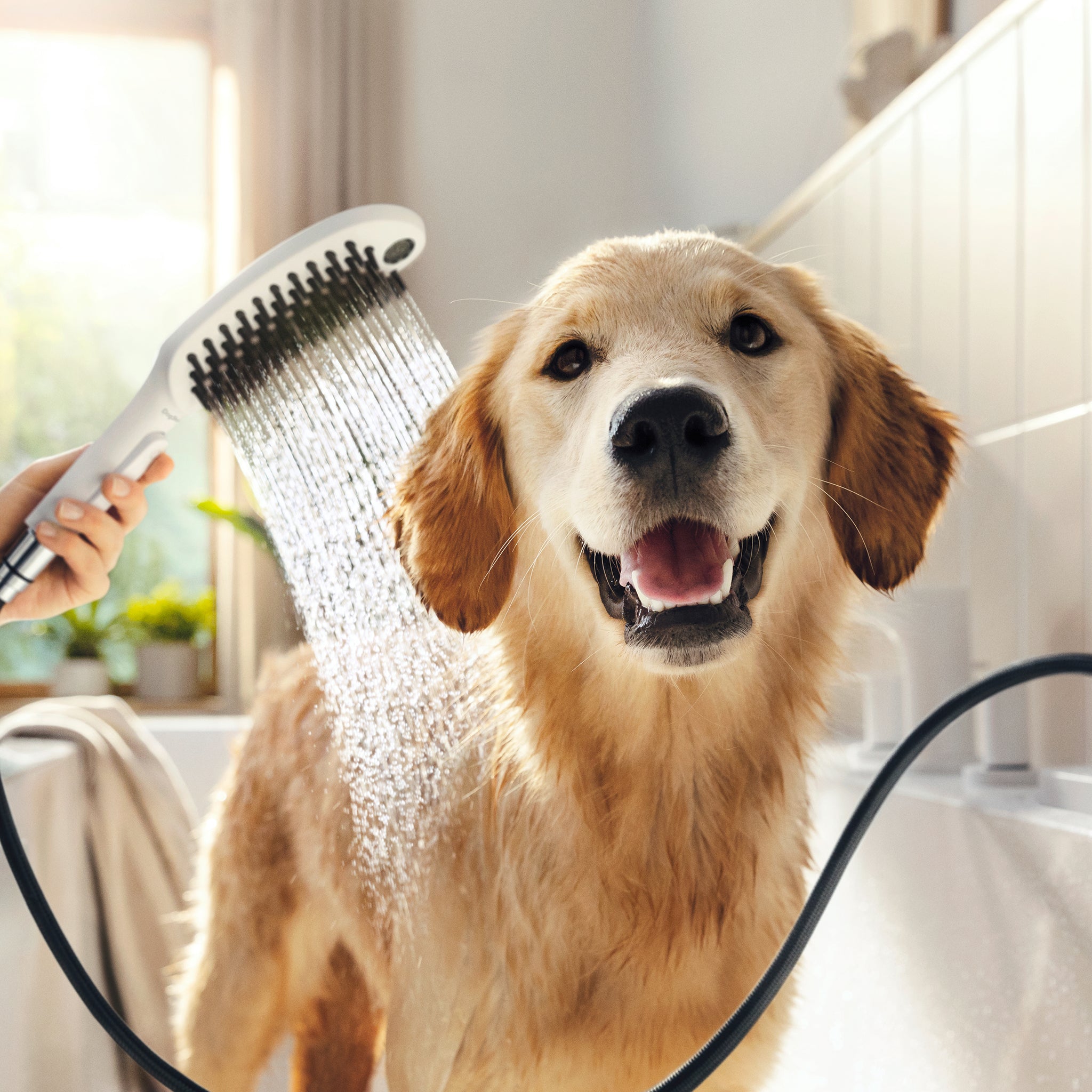 hansgrohe 04974700 Dog Shower Dog Shower Bundle, 3-Spray, 1.75 GPM in White