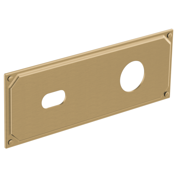 Luxe gold rectangular wall-mount escutcheon plate with two openings and corner mounting holes.