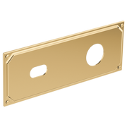 Polished gold rectangular escutcheon plate with two cutout openings and corner mounting holes.