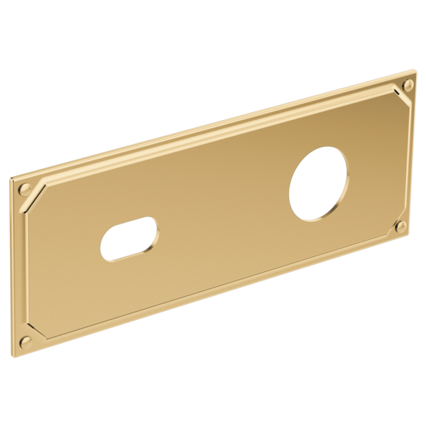 Polished gold rectangular escutcheon plate with two cutout openings and corner mounting holes.