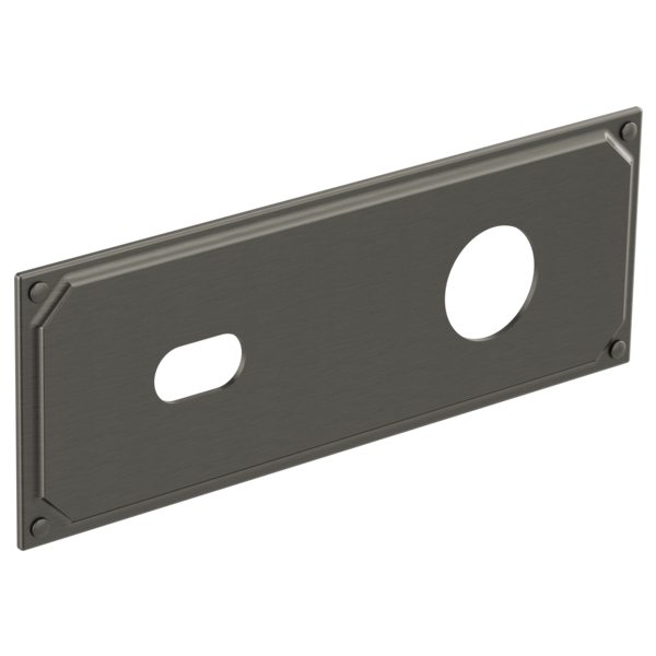 Luxe steel wall-mount escutcheon plate with two openings and corner mounting holes.
