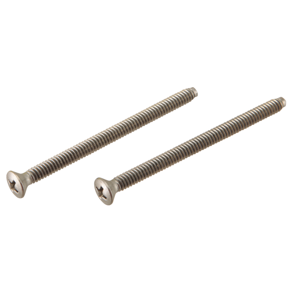 Two brushed nickel trim screws with Phillips head and threaded shafts.