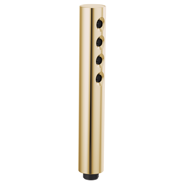 Polished gold cylindrical handshower with four black spray adjustment buttons along the side.
