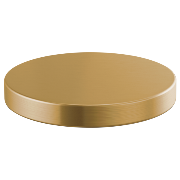Brizo RP90934GL Litze Hole Cover: Luxe Gold