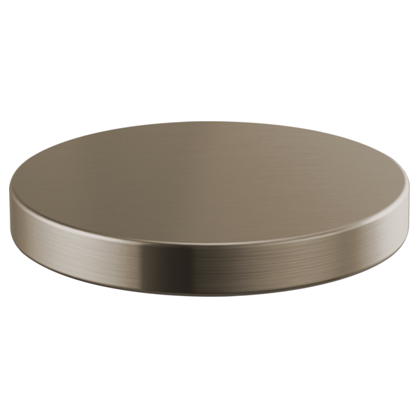 Brizo RP90934SS Litze Hole Cover: Stainless