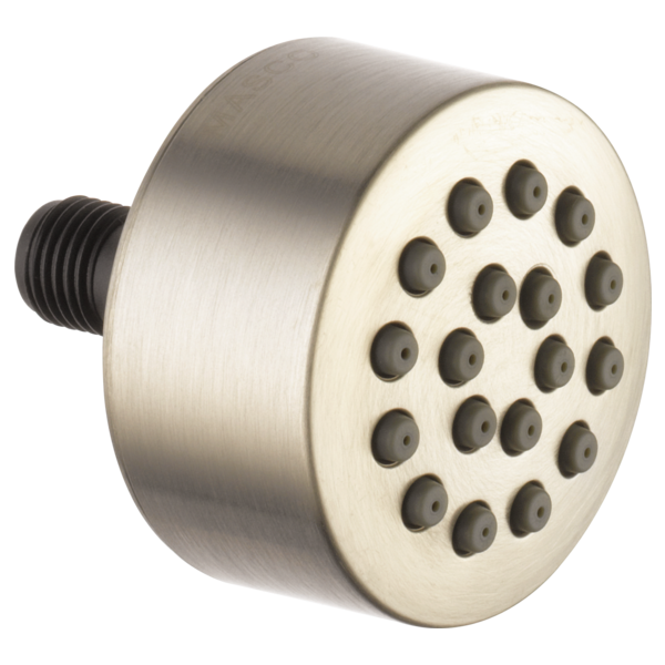 Brushed nickel shower spray head with multiple circular nozzles and threaded connection port.