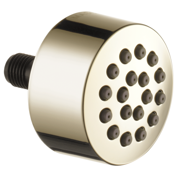 Polished nickel showerhead with multiple circular spray jets and threaded black connector on side.
