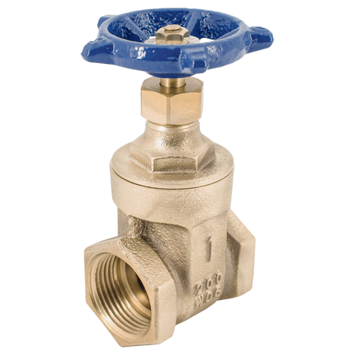 Brass gate valve with blue hand wheel and threaded inlet connection, front view.