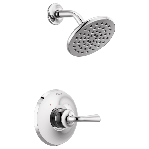 Chrome shower trim with round perforated showerhead and wall-mounted valve control with lever handle.