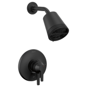 Delta Galeon 17 Series Shower Trim with Cylinder SH