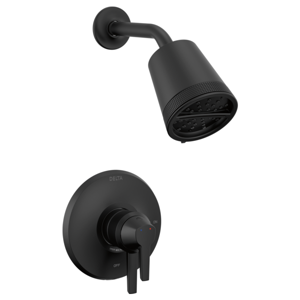 Black cylindrical shower head with arm and round trim plate with lever handle control.
