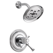 Chrome thermostatic shower system with round showerhead and wall-mounted control valve with lever handle.
