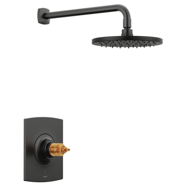 Black thermostatic shower trim with round rainfall showerhead and wall-mounted valve body, handles not included.
