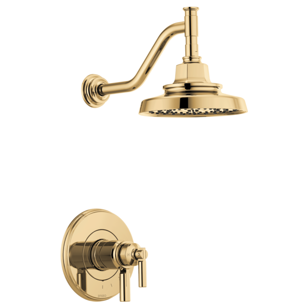 Polished gold thermostatic shower trim with round showerhead and curved arm, includes wall-mounted valve control.