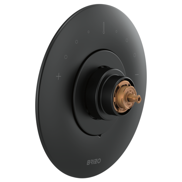 Matte black round trim plate with concentric rings and bronze valve cartridge center, no handle attached.