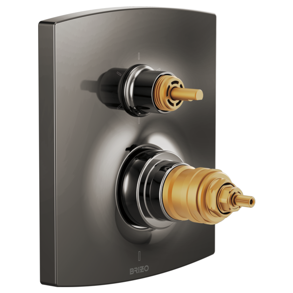 Brushed black thermostatic valve trim with two brass cartridge stems mounted on curved rectangular plate.