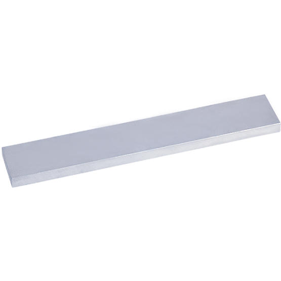 Stainless steel trough-mount magnetic silver saver with elongated rectangular shape and angled design.