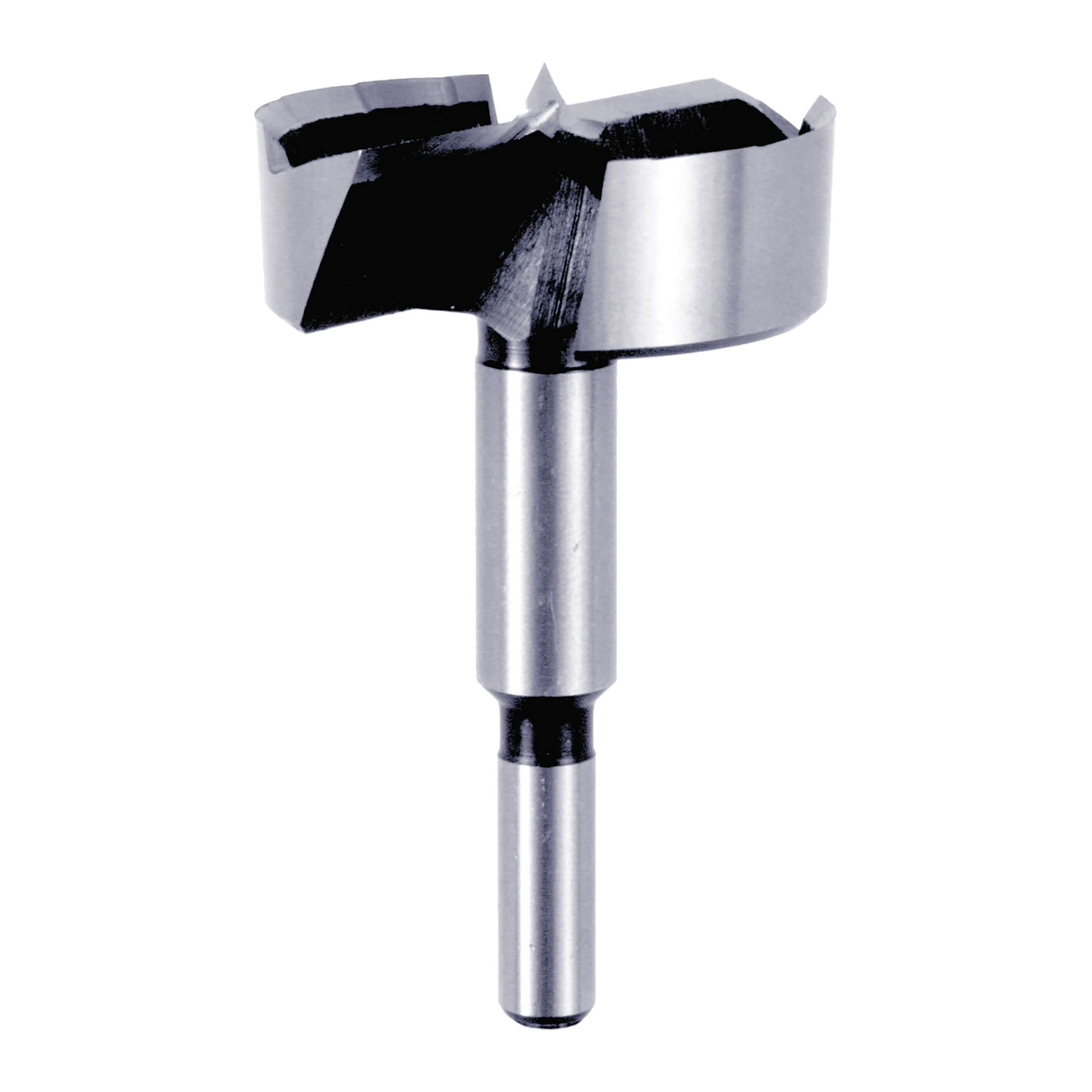 Diablo forstner bit with cylindrical steel shaft and two-wing cutting head with black carbide tips.