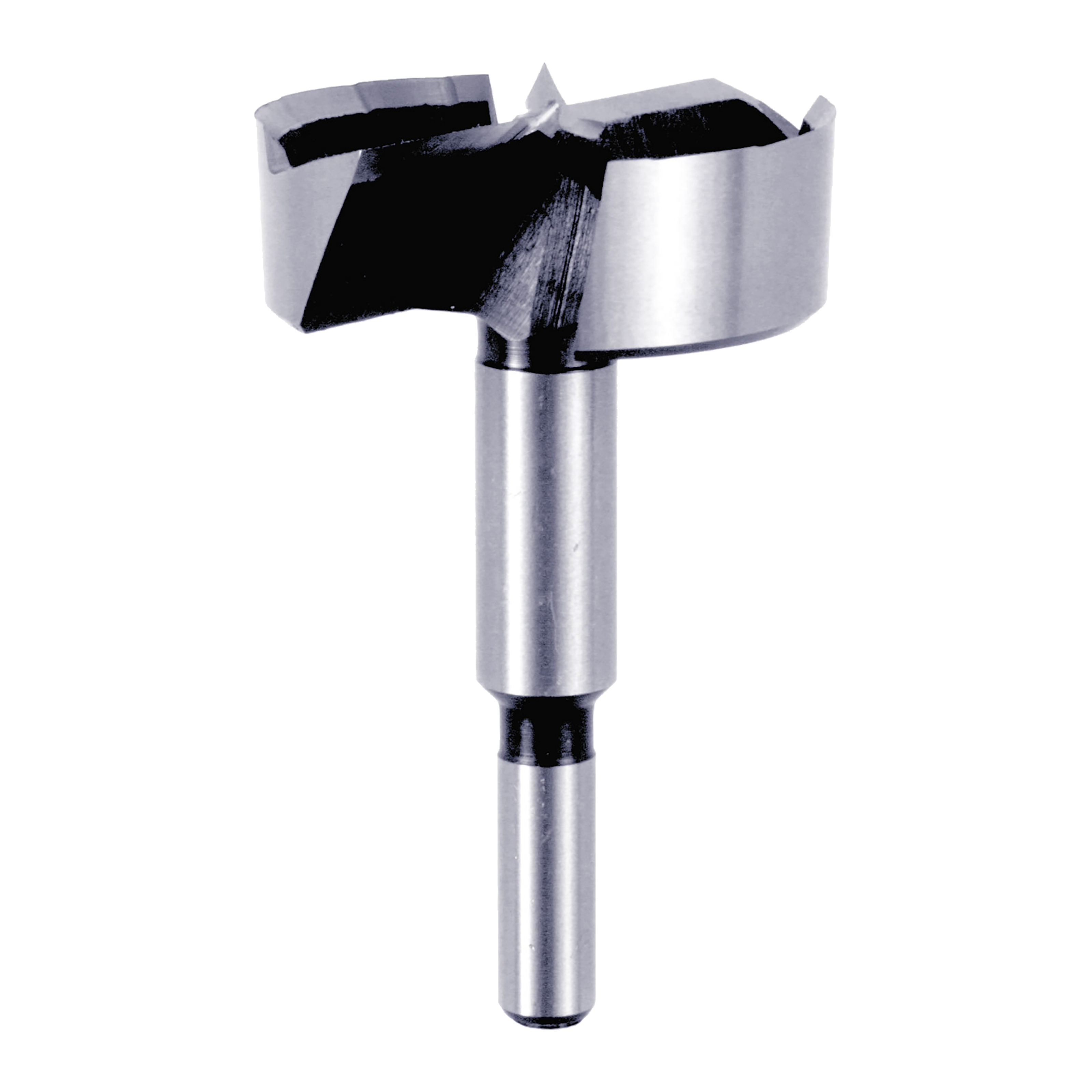 Diablo forstner bit with cylindrical steel shaft and two-wing cutting head with black carbide tips.