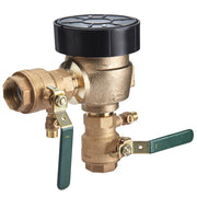 Watts 800M4FR 1-1/4" Freeze Resistant Pressure Vacuum Breaker