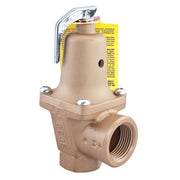 Brass boiler pressure relief valve with chrome discharge line, adjustment cap, and yellow instruction tag attached.