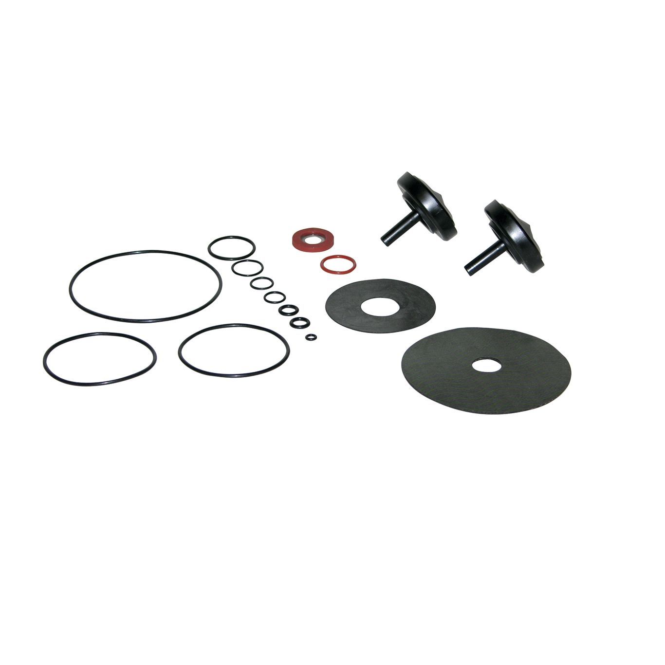 Backflow preventer repair kit containing rubber o-rings, flat washers, check valves, and spring components.