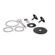 Backflow preventer repair kit containing rubber o-rings, flat washers, check valves, and spring components.