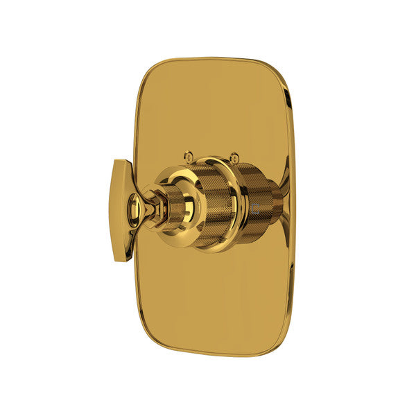Unlacquered brass thermostatic trim with rounded rectangular backplate and single control handle.
