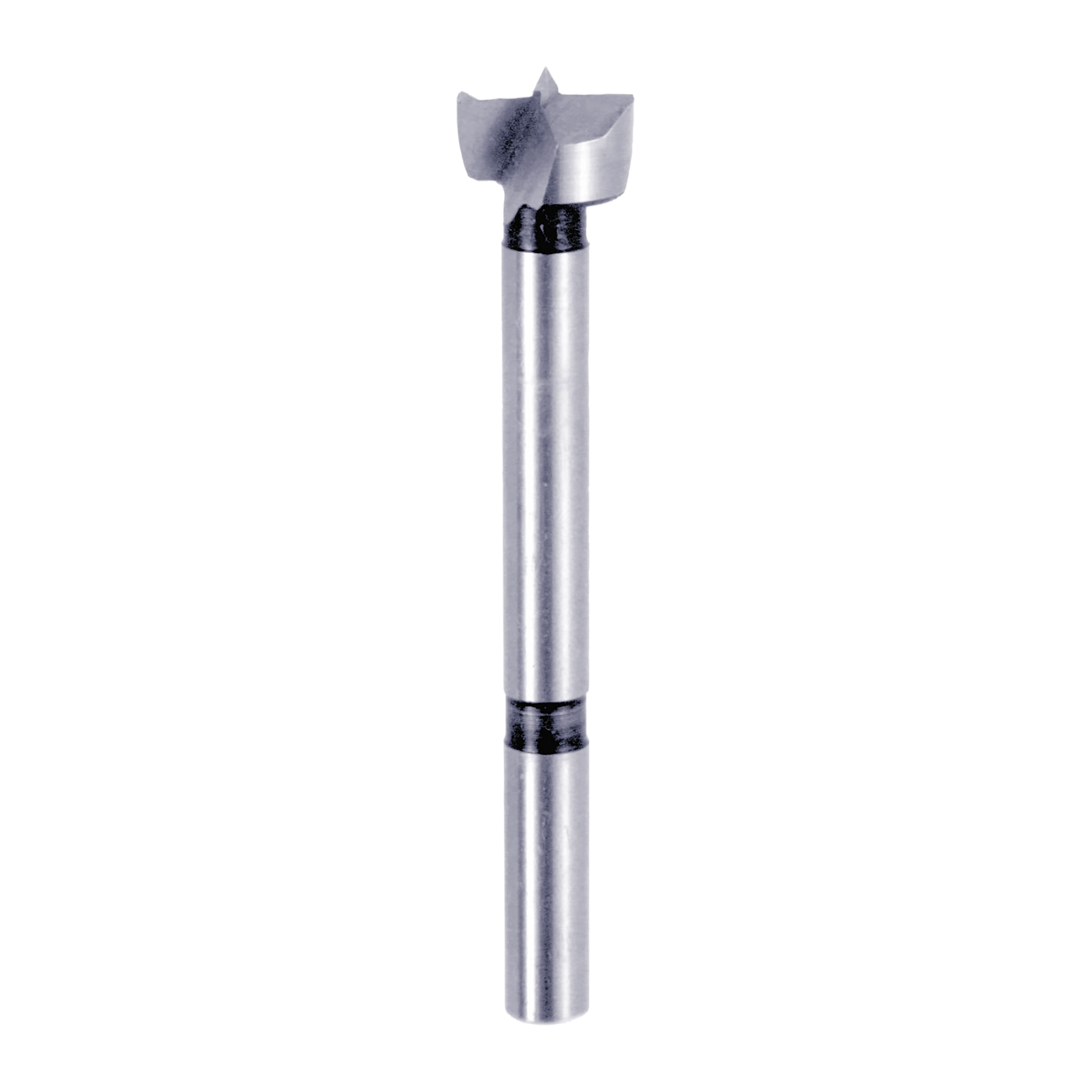 Silver cylindrical Forstner bit with dual-wing cutting head and black grip bands on shaft.